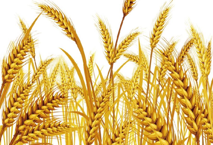 面條行業的市場現狀與發(fā)展趨勢